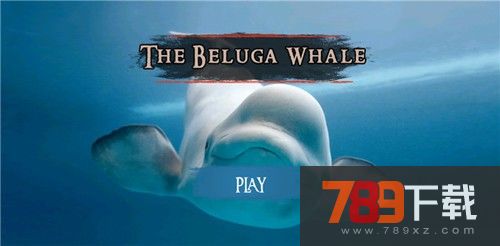 白鲸模拟器手机版下载